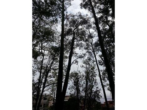 Realocação de Árvores em Alphaville